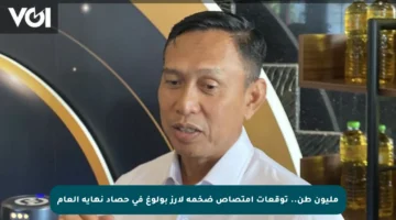 مليون طن.. توقعات امتصاص ضخمة لأرز بولوغ في حصاد نهاية العام
